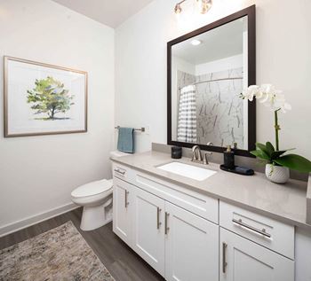 Quartz countertops in kitchen and bathrooms